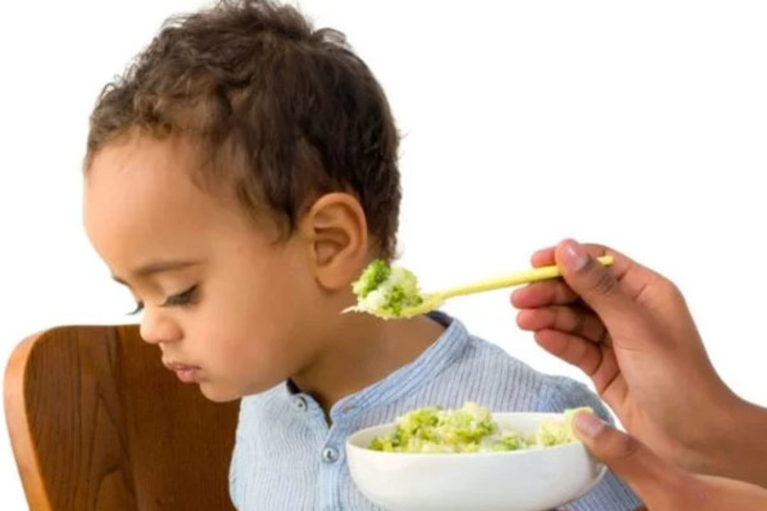 Tios devem pagar alimentos a sobrinhos? Não!